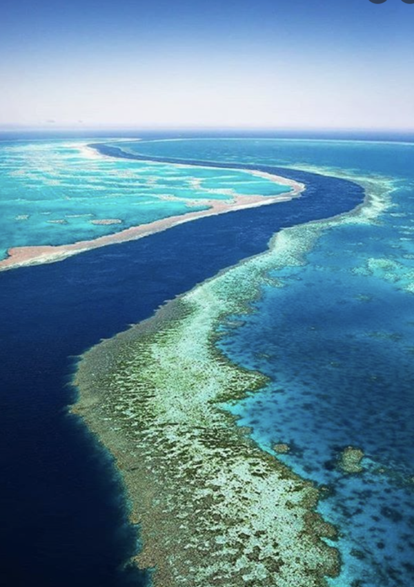 Diving The Great Barrier Reef With Prodive